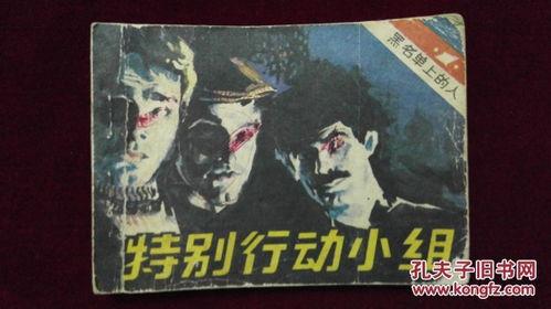 特别小组,揭秘神秘团队背后的传奇故事