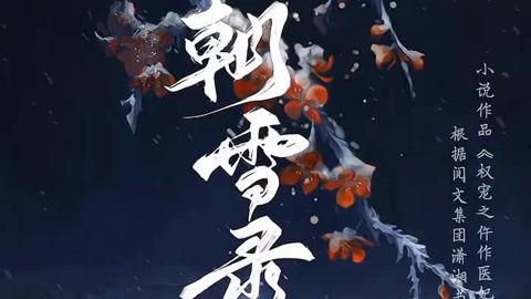 朝雪录,探寻古代雪景之美