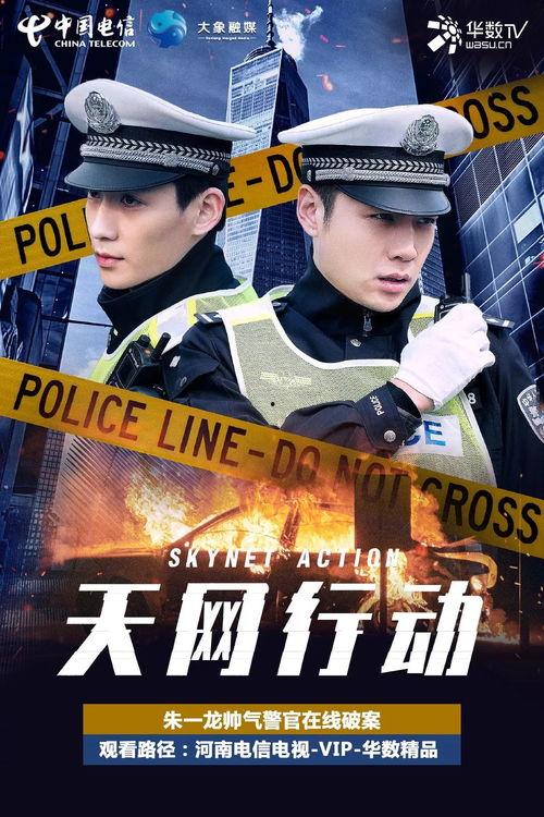 天网行动